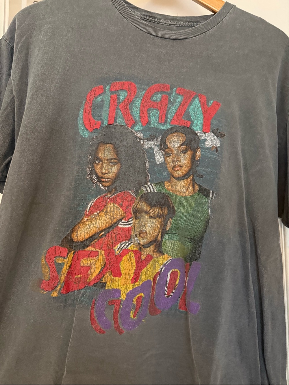 TLC band tee in Gray Short Sleeve